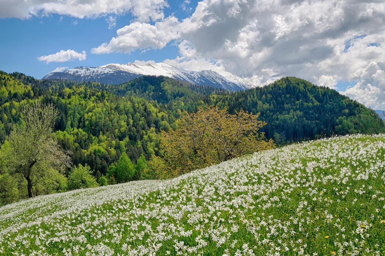 Apartments Pri Fencu Jesenice Exteriér fotografie