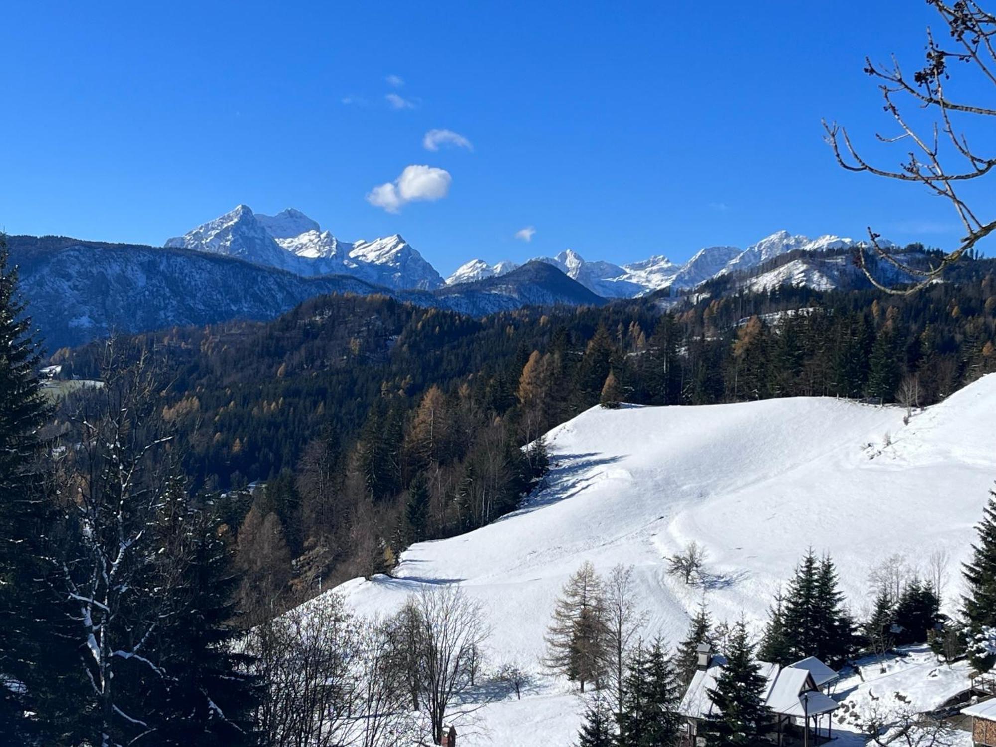 Apartments Pri Fencu Jesenice Exteriér fotografie